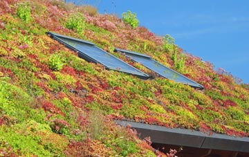 Red Rice living roof systems