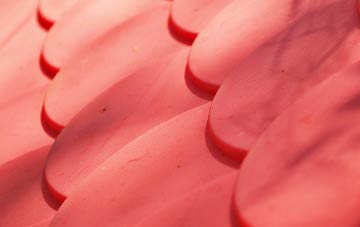 Red Rice plastic roof costs