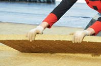 find rated Red Rice roof insulation companies